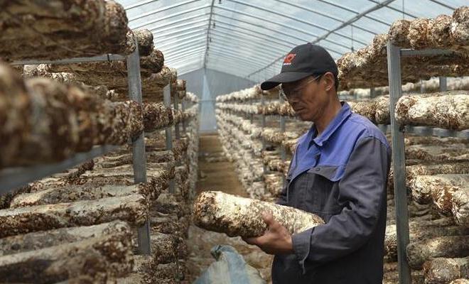 技术指导助力农民脱贫